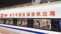 优哩哩抖音+TikTokShop模式，14天托管收益10%