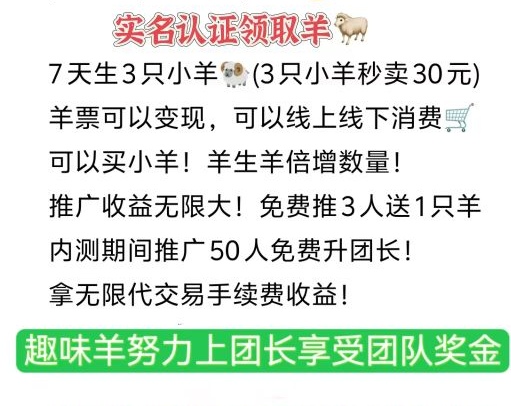 首码养羊赚钱