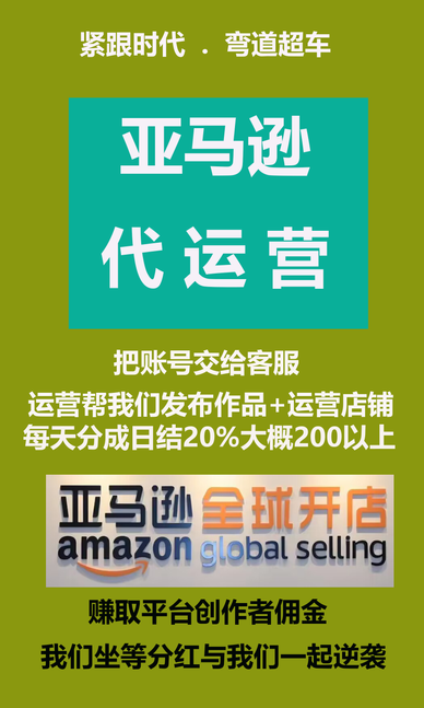 亚马逊电商挂机托管无需投入免费