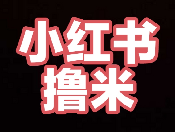 【小红书笔记】每天3条任务3米 扫马关注公重号发小红书有视频教程