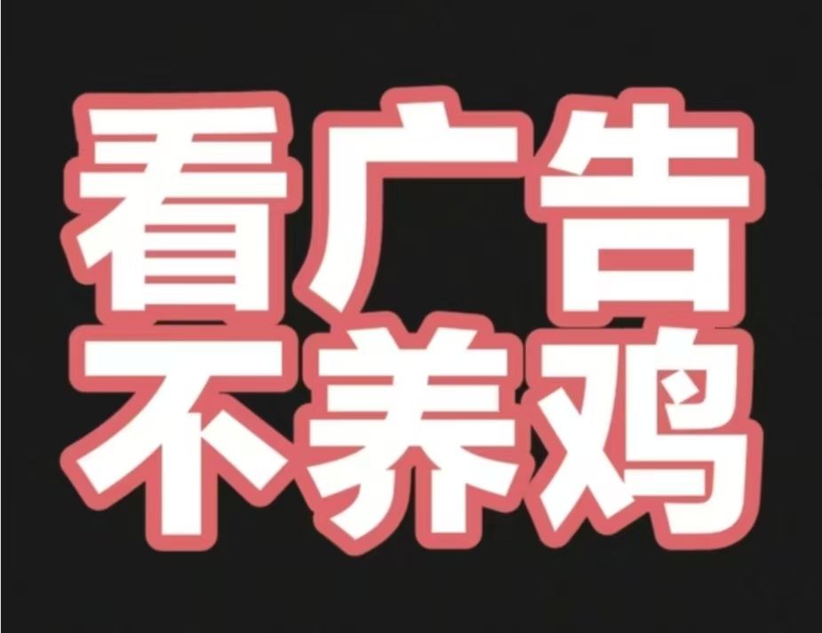 赚钱了，零撸项目