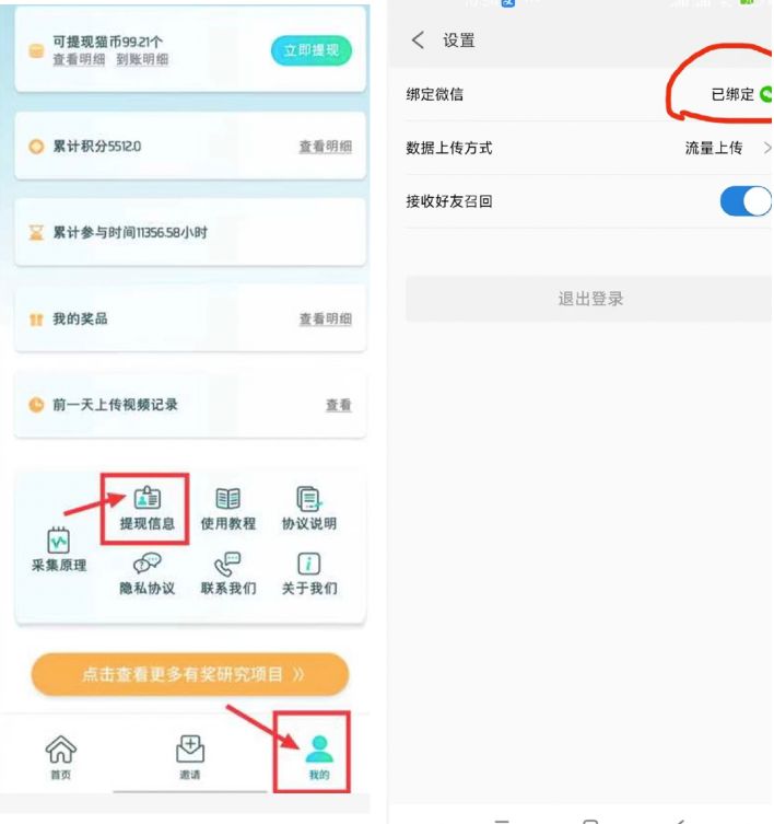 抓鱼猫24小时挂机,零投入稳定