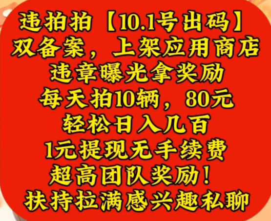 违拍拍，扶持88，只需投100，1天即可回本